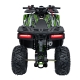 Quad Spalinowy 120CC DISCOVERER Zielony PSP.ATV009.8.ZIE